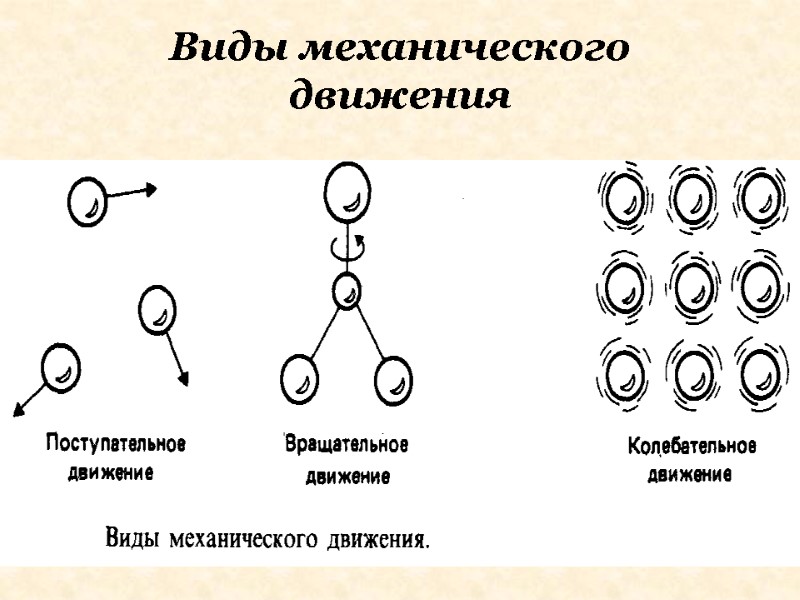 Виды механического движения